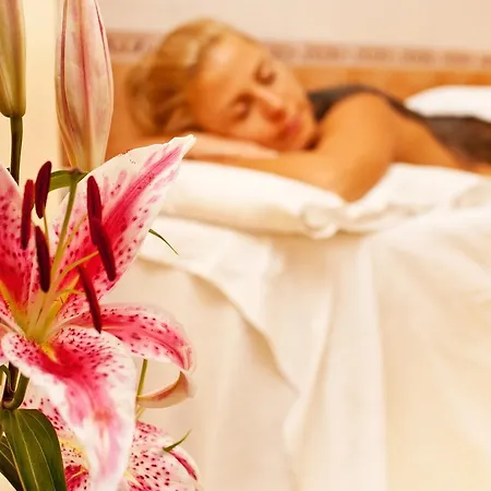 ホテル Saint George & Medical